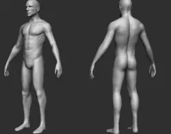 male model 3D model