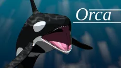 Orca Whale Low-poly 3D model