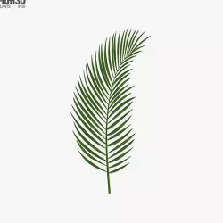 Palm Leaf 3D model
