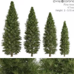 Pine Tree 3D model