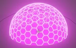 Purple force field 3D model