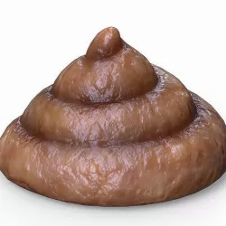 Shit Natural Crap Fecal  Low-poly 3D model