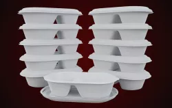 Styrofoam Disposable - Food Container 3D model