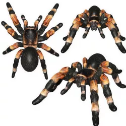 Tarantula Low-poly 3D model