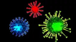 Virus 3D model