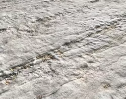 Arid White Ground PBR Texture