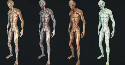 Character Reptile Animation Rig  Low-poly 3D model