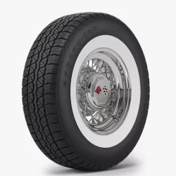  Classic Wire Wheel and Tire BFG 3D model