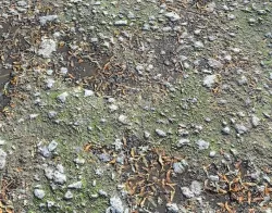 Ground with Pebbles seamless PBR Texture
