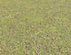 Mossy grass terrain 10 Texture