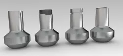 NIPOLET 3D model