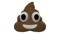 Pile of Poop emoji 3D model
