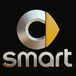 Smart Logo 3D model