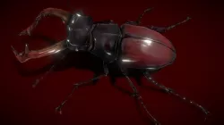Stag Beetle Low-poly 3D model