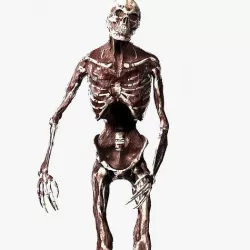 Zombie Rigged Low-poly 3D model