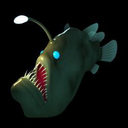 3D Model: Fish Skeleton ~ Buy Now #89230127