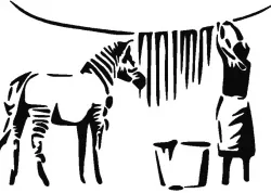 banksy Zebra getting washed