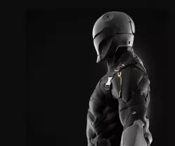 Gray Fox Low-poly 3D model
