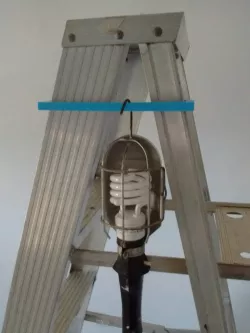 Ladder light