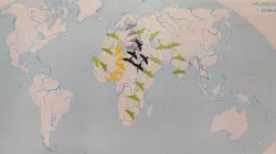 Migrace ptactva