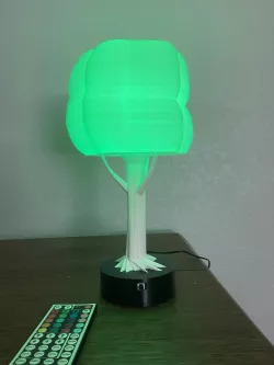 Tree of Light