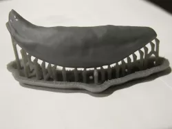 wolf tooth (scanned and printed)