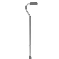 Cane 3d 3D model