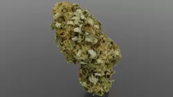 Cannabis Bud 04 3D model