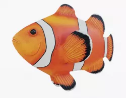 Clown Fish Animated Low-poly  3D model