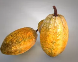 Cocoa Fruit Low-poly  3D model