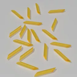 Dried Penne 3D model