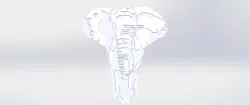 Elephant key chain