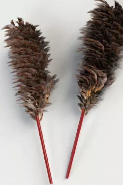 Feather Duster 3D model