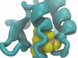 Ferredoxin