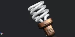Fluorescent Light Bulb