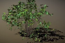 Hazel Bush 3D model