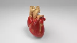 Heart Low-poly  3D model