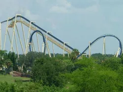 Montu at Busch Gardens Tampa