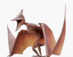 Pterodactyl Animated Low-poly  3D model