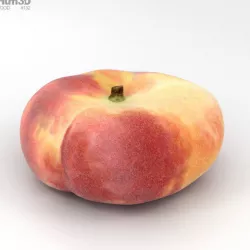 Saturn Peach 3D model