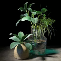Set of plants 04 3D model