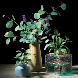 Set of plants 05 3D model