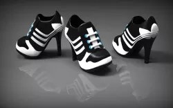 shoes 3D model
