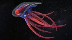 space octopus Low-poly  3D model