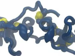 Spasmolytic Peptide
