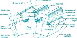 Spur Gear