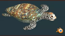 TURTLE 3D model