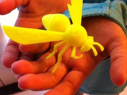 Wasp