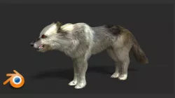 WOLF FUR MODEL 3D model