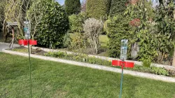 Ant repellent with PET, Ameisen Vertreiber mit PET
